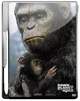 Best Movie Streaming Sites to Free Download and Watch Full Hot Movies