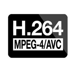 H264  -  3