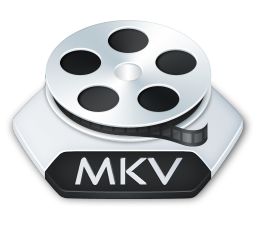 MKV Video Player