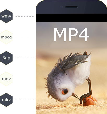 MP4ϊ