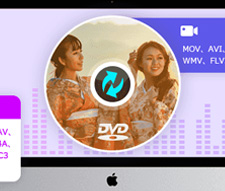 AnyMP4 DVD�R�s�[�]��