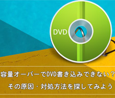 DVDݗeʃI[o[