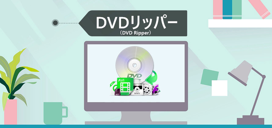 DVDbp[