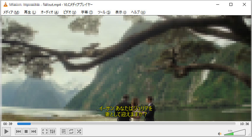 Handbrakeで字幕を焼き付け