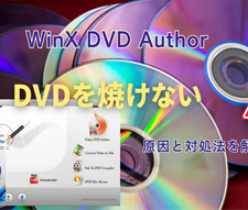 winx dvd author �Ă��Ȃ�