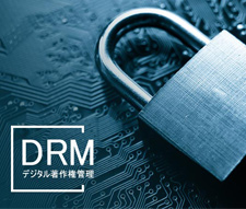 fW^쌠Ǘ/DRM