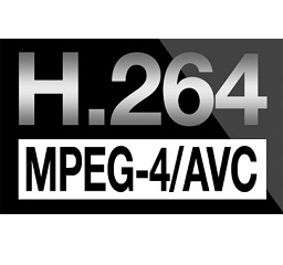 H264