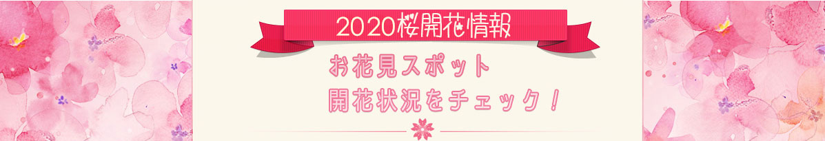 桜開花予想2017東京と桜開花予想2017京都