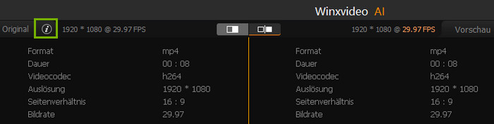 Schauen Sie sich die detaillierten Videoinformationen an