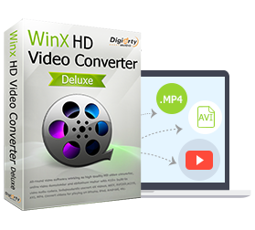 windows media player 9 dvd playback