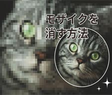 ���U�C�N������