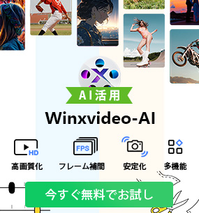 Winxvideo AI