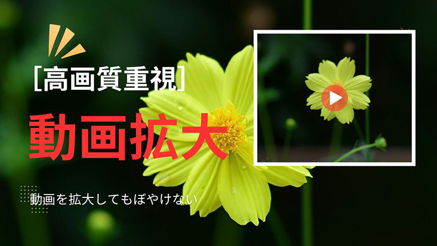 ����g��