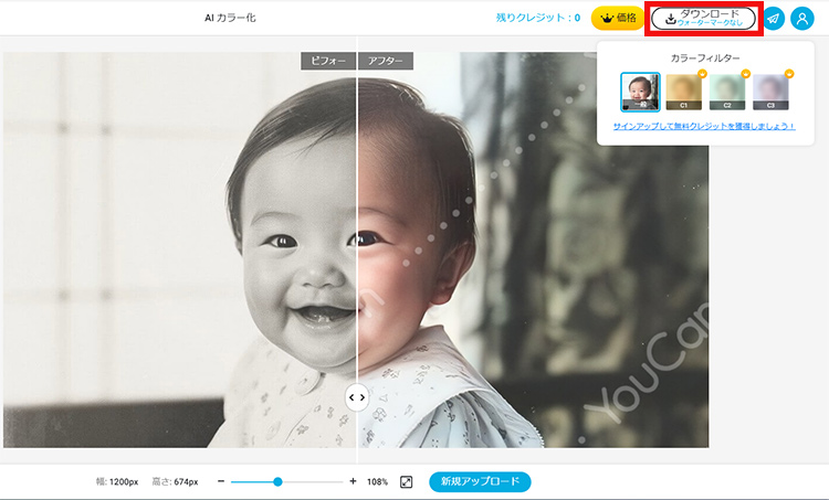 カラー化された画像を確認して保存する