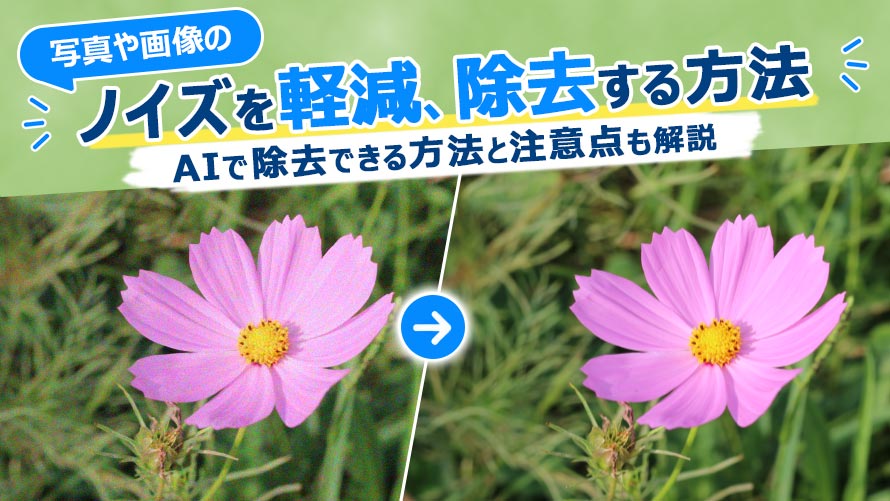 �摜��ʐ^�m�C�Y�����̕��@