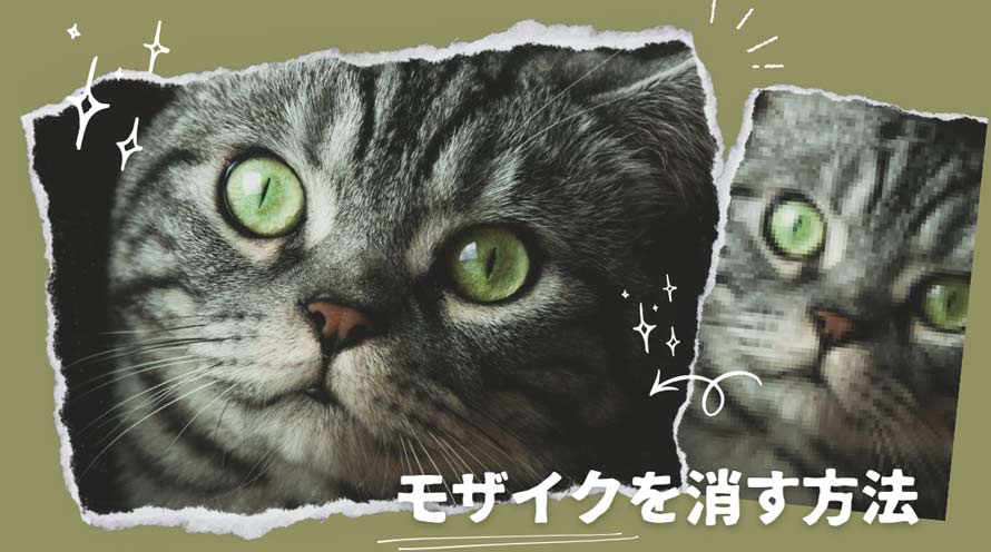 ���U�C�N���������@