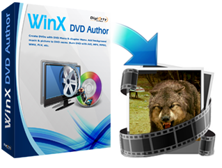 winx dvd author safe