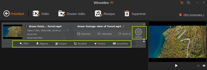 Guide Winxvideo AI