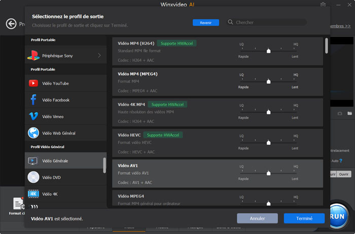 Guide Winxvideo AI