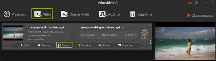 Guide Winxvideo AI