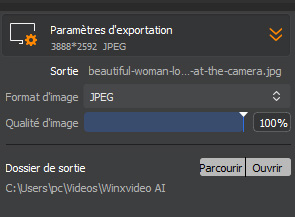 Paramètres d'Exportation Winxvideo AI