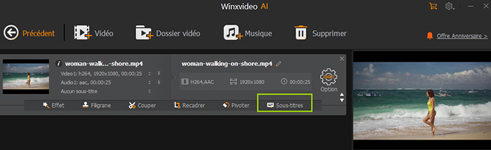 Guide Winxvideo AI