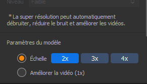 Guide Winxvideo AI Video AI L'option