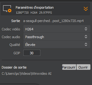 Guide Winxvideo AI Video AI  type de vidé