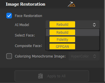 restore face with 3 modes