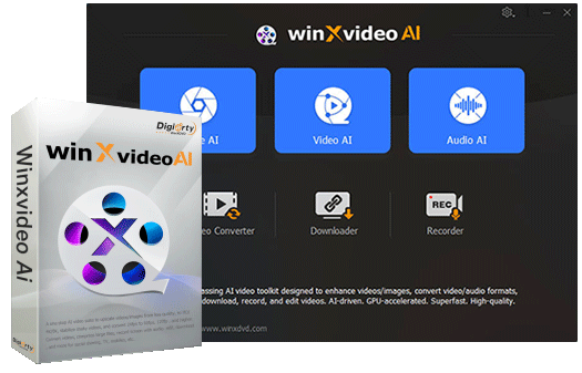 how to use Winxvideo AI