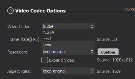 Winxvideo AI Common Settings - codec