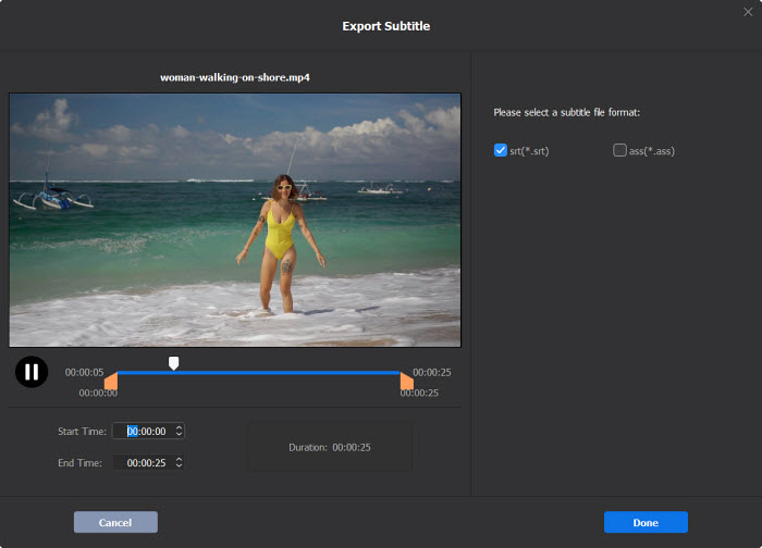 How to Export Subtitle