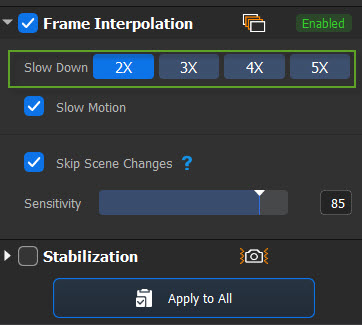 frame interpolation settings