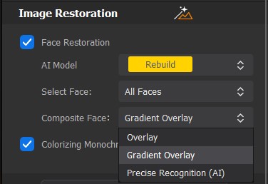restore face with overlay