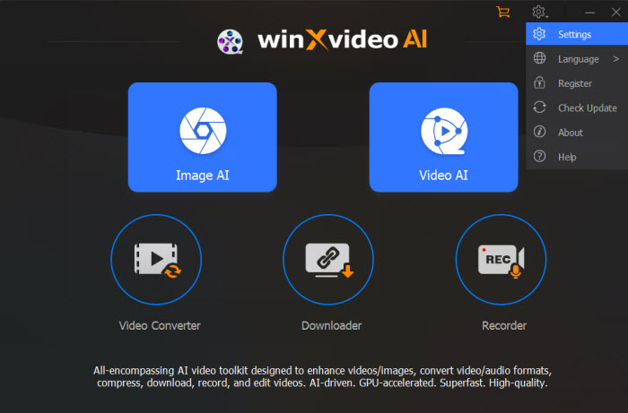 Winxvideo AI Common Settings
