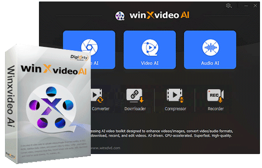 how to use Winxvideo AI
