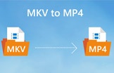MKVをMP4に