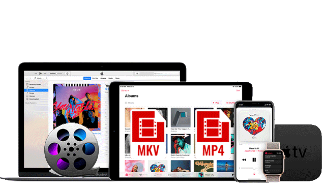 無料 Mkvをmp4に変換し Iphone Androidで再生する方法