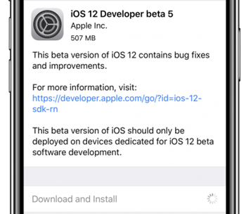 iOS 12 Installation Problem and Fix