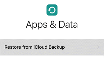Restore from iCloud on New Device