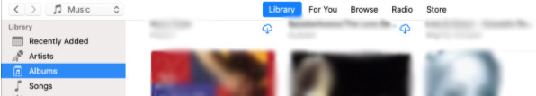 iTunes Library