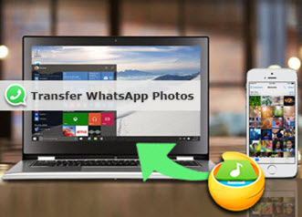 download whatsapp desktop for windows 10 64 bit download whatsapp desktop for windows 10 64 bit