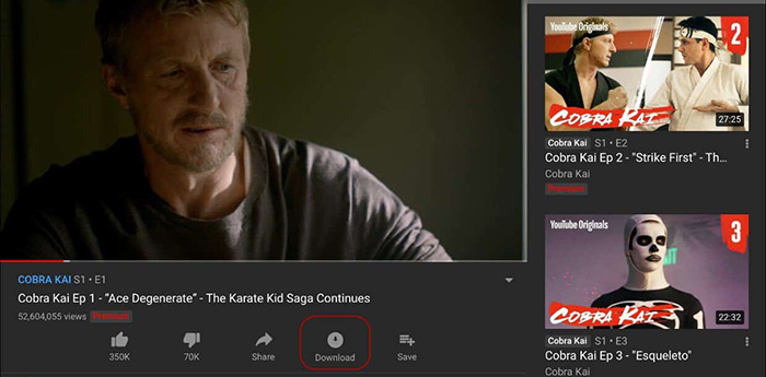 YouTube Premium Downloads