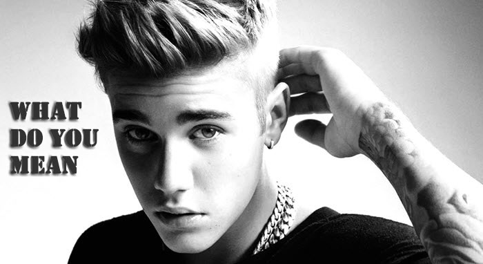 Justin Bieber Purpose Album What Do You Mean Free Download Guide