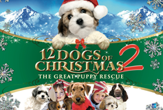best christmas movies on netflix instant streaming dec 2016 netflix best christmas movies
