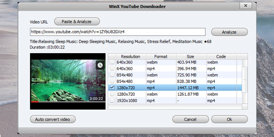 Install WinX YouTube Downloader
