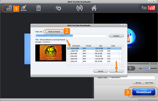 Download The Lion King Musical Video Free from YouTube
