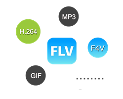 FLV Supported Formats