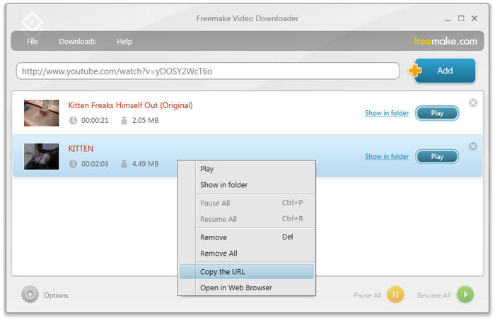 what is mp4 of freemake downloader