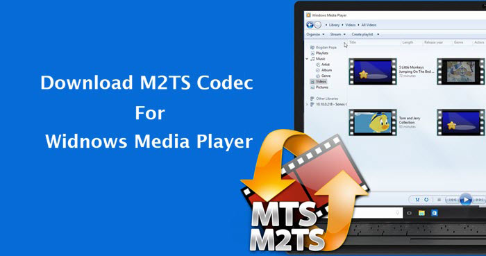 mkv codec for windows media player